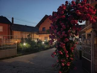 Nina Apartments - Negotin - 0