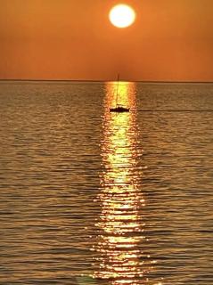 2 Tuscan seafront apartments with private access to sea - Castiglioncello - 8
