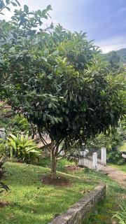 Refúgio Imperial - Petrópolis - 7