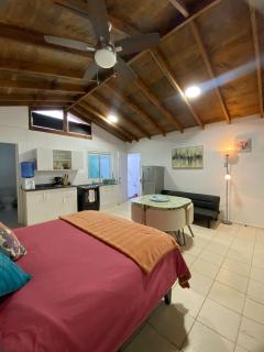 Loft Tongoy 2 Interior sin vista al mar - Tongoy - 6