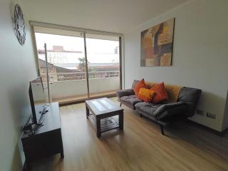 Espléndido departamento en Providencia - Santiago - 7