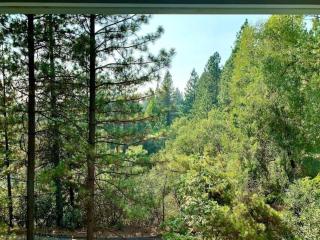 Hiking Bike Trails Family Fall Fun-Apple Hill - Placerville - 7