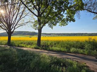 Park und Meer - FEWO im Grünen Bad Zwischenahn - 4-Zimmer - bis zu 9 Gäste - Bad Zwischenahn - 8