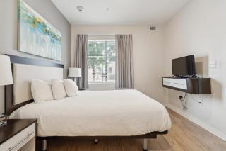 Simplicity 1103 I Spacious 1Bd1bth Apartment - 1