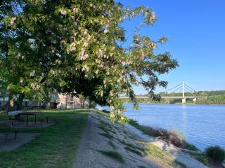 Kassiopi - Novi Sad - 0