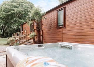 Herons Lake Retreat - Caerwys - 9
