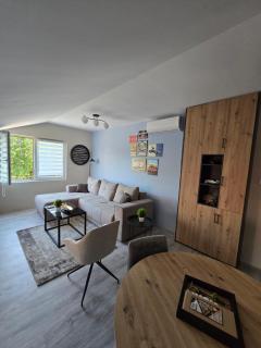 Dadis Apartment - Niš - 0