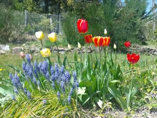 Refu 3 Lagos - Bariloche - 1