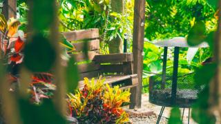 Glamping Entre Rocas Tena - Tena - 2