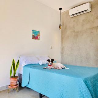 Vibes Wellness House - Tamanique - 3