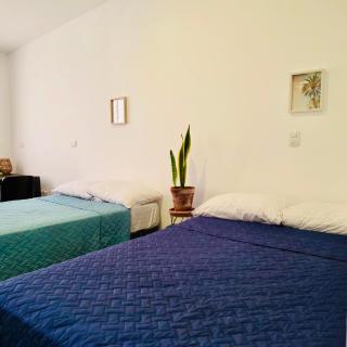 Vibes Wellness House - Tamanique - 2