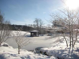 Haus an der Therme - 4