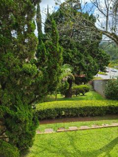 Chácara dos Pinheiros - 6