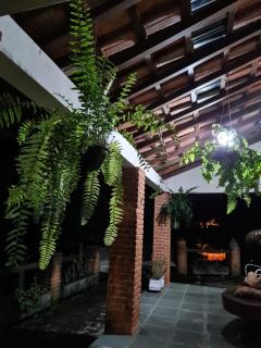 Chácara dos Pinheiros - 3