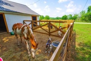 Spacious Missouri Vacation Rental with Fire Pit! - Greenfield - 9