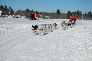 Thüringer Landhaus - 1