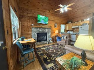 Sleepy Bear Cabin-Watch the Sunset, Dogs welcome with Pet Rate - Maggie Valley - 1