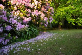 Mount Stuart House - Daylesford - 9