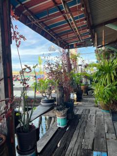 Baan Rim Nam Homestay Chumphon - Ban Pak Nam Chumphon - 3