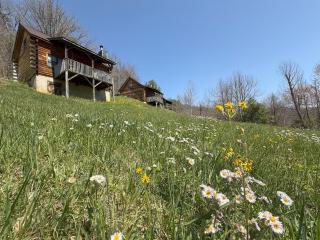 Sleepy Bear Cabin-Watch the Sunset, Dogs welcome with Pet Rate - Maggie Valley - 3
