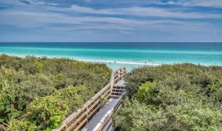 Driftwood Dream by 30A Escapes - Seagrove Beach - 0