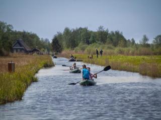Holiday home near Rottige Nature Reserve - Scherpenzeel - 7