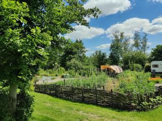 Holiday home near Rottige Nature Reserve - Scherpenzeel - 1