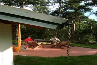Eco home with wood in a holiday park - Herpen - 1