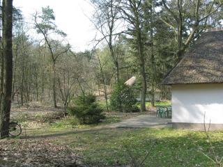 Well furnished bungalow, near by nature - Herpen - 3
