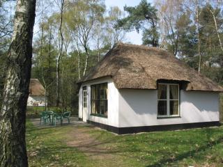 Well furnished bungalow, near by nature - Herpen - 0