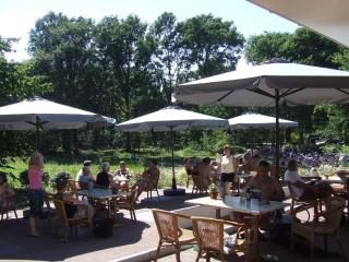 Romantic bungalow, surrounded by nature - Herpen - 1