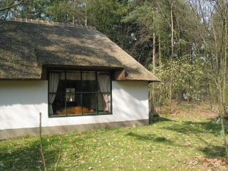 Romantic bungalow, surrounded by nature - Herpen - 9