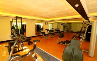 The mansion Bougenville - Jakarta - 8