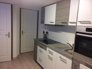 Chalet with 2 apartments surrounded by meadows - Saas-Grund - 4