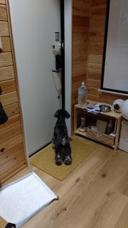 CampBaseKadojin - Vacation STAY 33535v - Tenkawa - 6