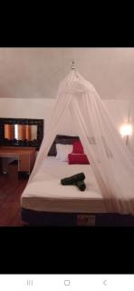 Why Not Bar And Bungalows #03 - Gili Air - 4
