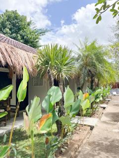 Alfa Kuta - Kuta Lombok - 0