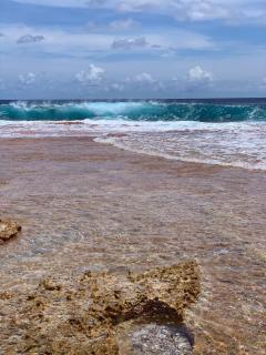 Te Anuanua Lodge - 0
