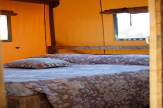 Pleasant tent with swimming pool - Fermo - 4