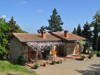 Detached villa for 6-pers with outdoor swimming pool - Loro Ciuffenna - 3
