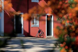 Casa de Mogofores - 6