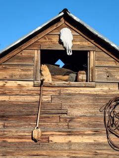 8 Mile Farm Bed & Breakfast - The Dalles - 8