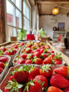 Farm Holiday By Sejerø Bay - Asnæs - 2