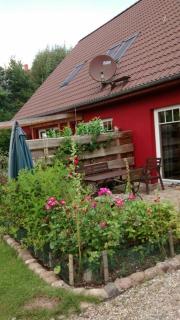 Kleiner Bauernhof in Ostseenähe - Testorf-Steinfort - 7