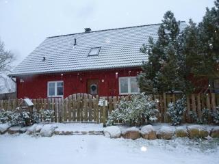 Kleiner Bauernhof in Ostseenähe - Testorf-Steinfort - 8