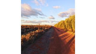 Olive Grove Retreat 2 by Tiny Away - Lake Boga - 1