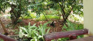 Ranga Villa - Hikkaduwa - 9