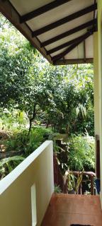 Ranga Villa - Hikkaduwa - 7