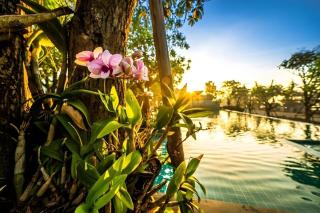 Chatnipa Beach Resort by Morseng - Rayong - 2