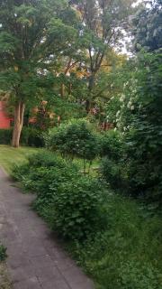 City Apartment Duisburg 2#Netflix &Wlan &Kingsize Bett & Kaffee Maschine & Central & 500m Innenhafen & 2 min U Bahn - Duisburg - 7